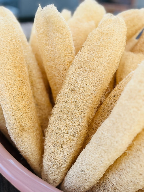 Loofah