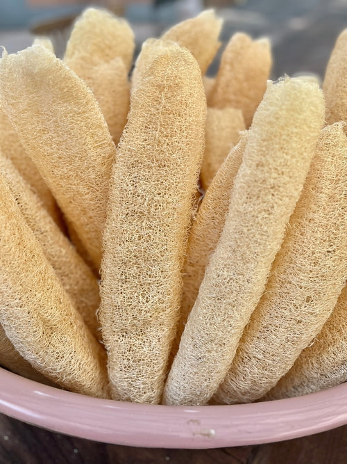 Loofah